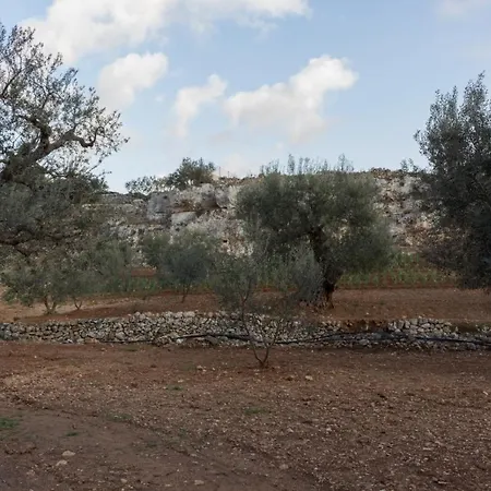 Paolottavia * Monopoli