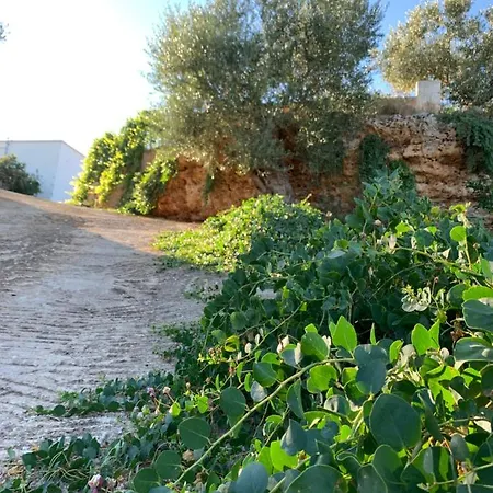 Paolottavia Apartment