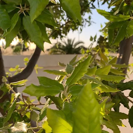 Apartament Paolottavia Monopoli