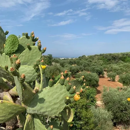 Paolottavia Apartament