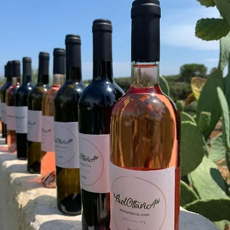 Apartament Paolottavia Monopoli