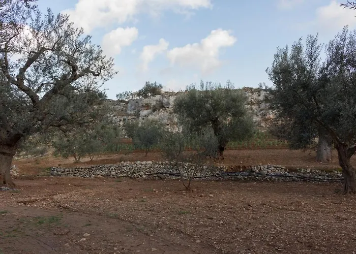 Paolottavia * Monopoli