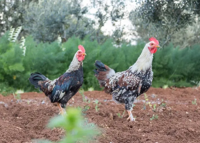 Appartamento Paolottavia Monopoli