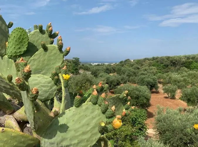 Paolottavia Appartamento