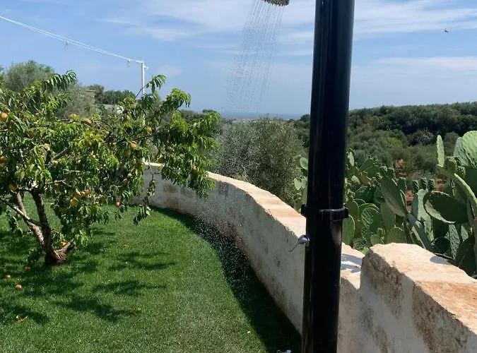 Paolottavia * Monopoli