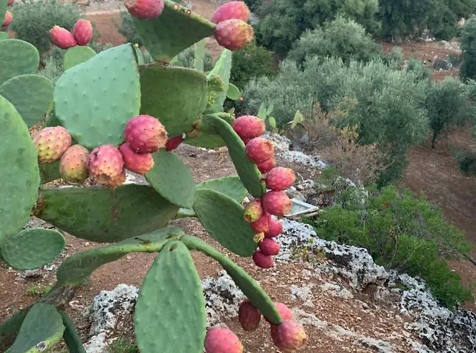 Appartamento Paolottavia Monopoli