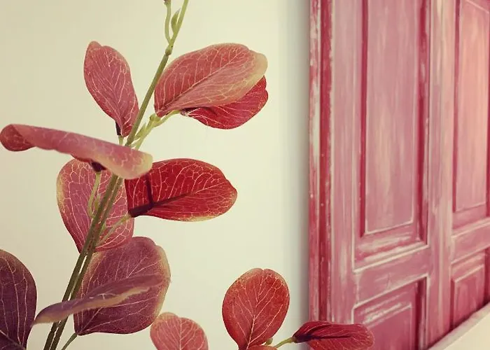 Paolottavia * Monopoli