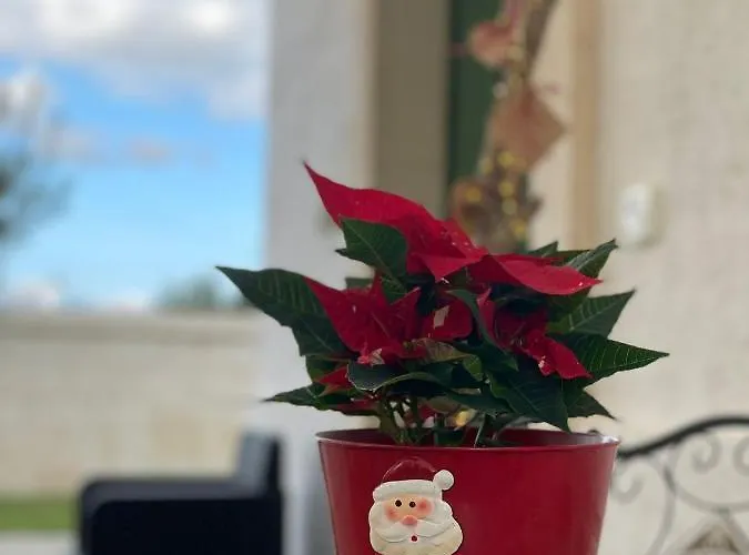 Paolottavia Appartamento