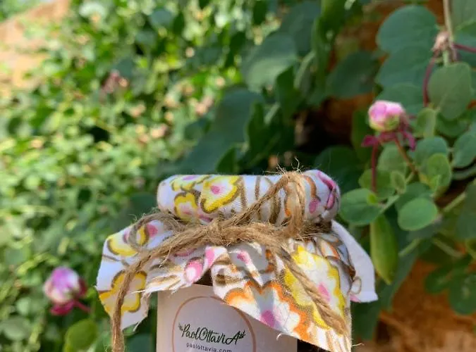 Appartamento Paolottavia Monopoli