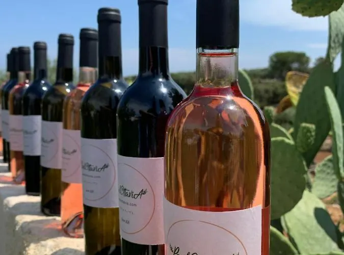 Appartamento Paolottavia Monopoli