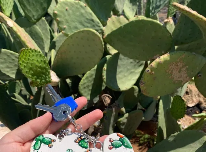 Appartamento Paolottavia *