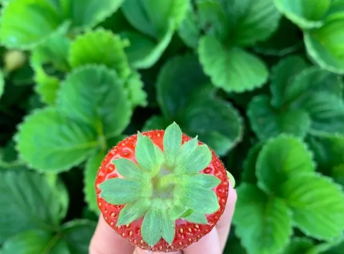 Paolottavia Appartamento *