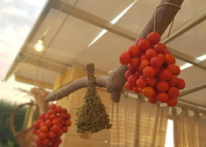 Paolottavia Monopoli