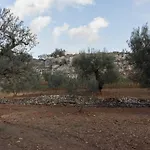 Paolottavia * Monopoli