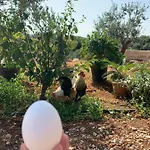 Paolottavia