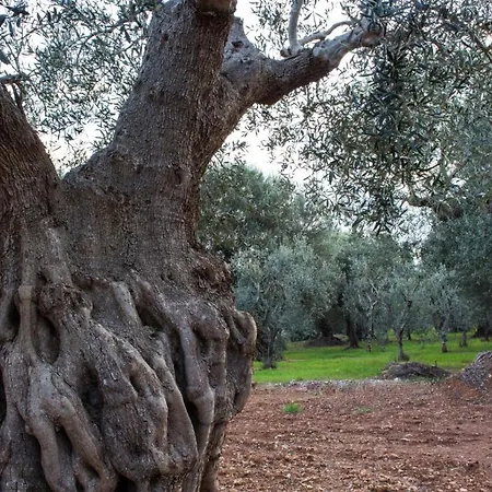 Paolottavia Appartement Monopoli