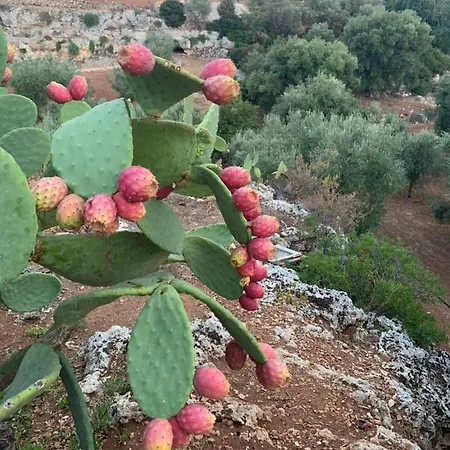 Appartement Paolottavia Monopoli