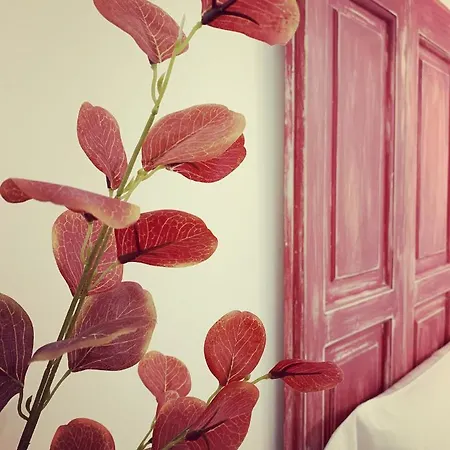 Paolottavia * Monopoli