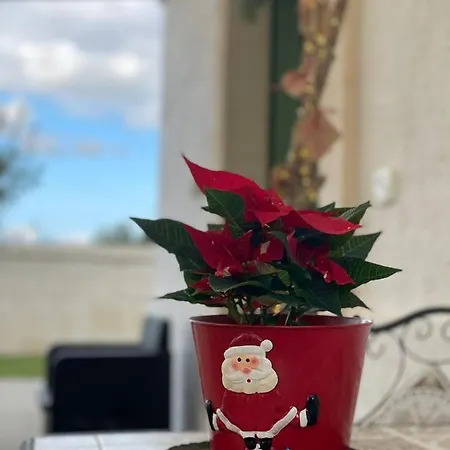 Paolottavia Appartement