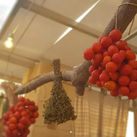 Paolottavia Monopoli