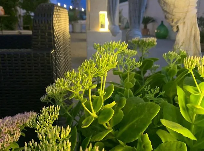 Lägenhet Paolottavia *